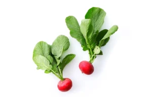 家庭菜園で子供にやさしい食べ物を！